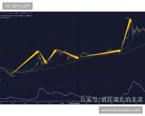 胜率跌破五成揭秘背后的深层原因